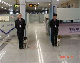 咸阳机场检疫犬